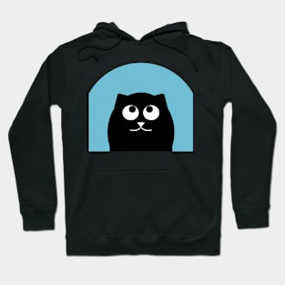 Looking up Cat Hoodie